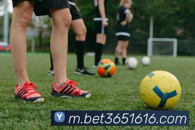 bet365中国官网品牌故事