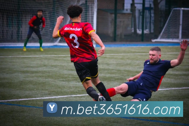 bet365中国官网服务体系